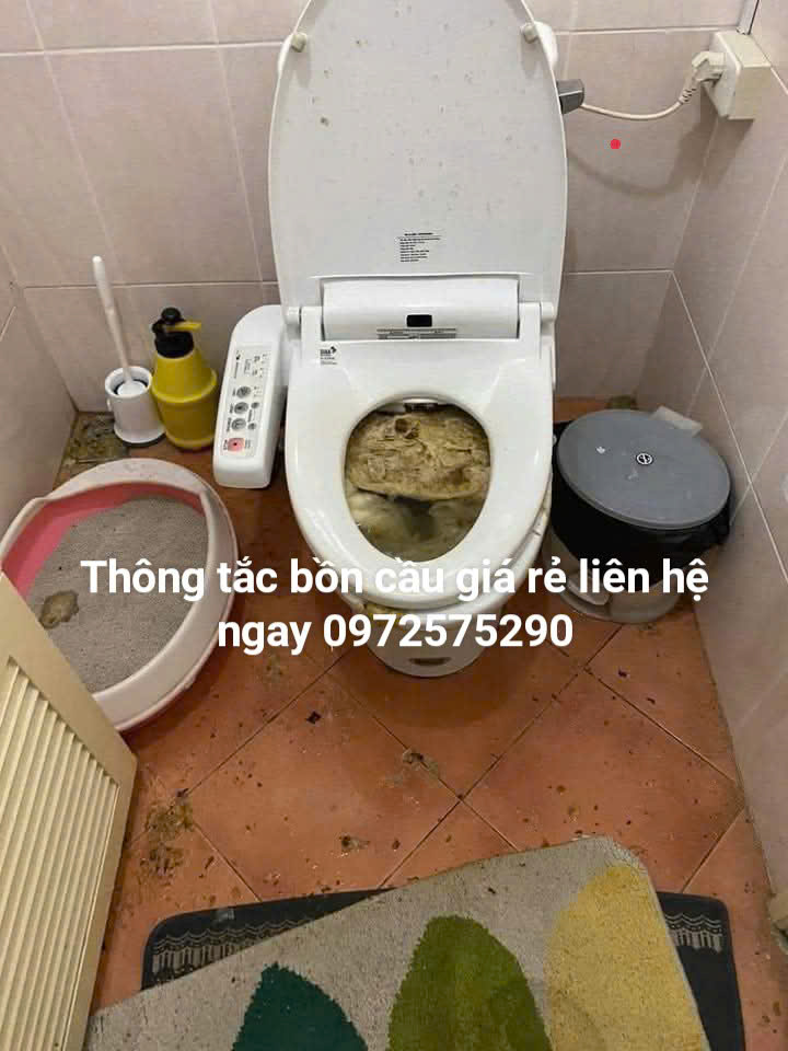 Bồn cầu bị tắc do giấy vệ sinh vứt vào quá nhiều