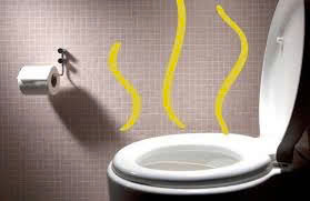 Giải Quyết Nhanh Chóng Vấn Đề Bồn Cầu Bị Nghẹt!